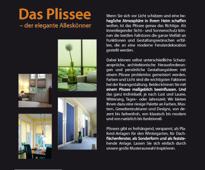 Sonderaktion Plissee