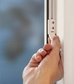 Fenster